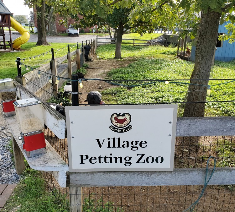 village-petting-zoo-photo